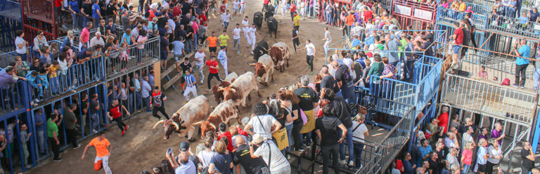 Si quieres coger el toro por los cuernos…