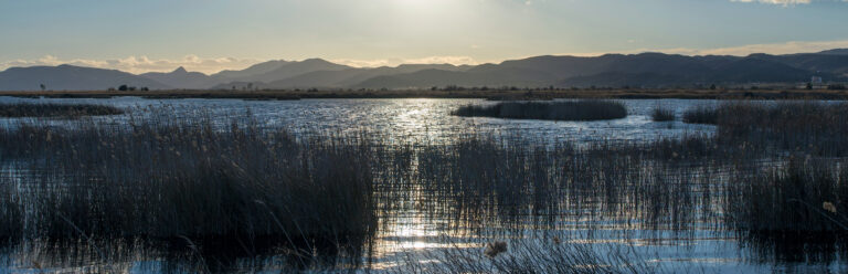 Parque Natural el Prat de Cabanes-Torreblanca