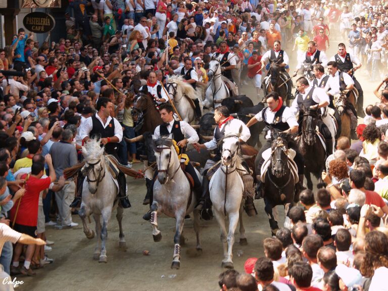 Entrada de Toros y Caballos de Segorbe