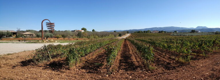 Bodegas Barón d’Alba