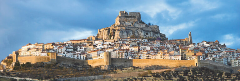 Morella